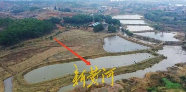 金股配资网 荒塘内开挖养鱼，65岁农妇被控“非法占用农地罪”，家属：坚持无罪申诉